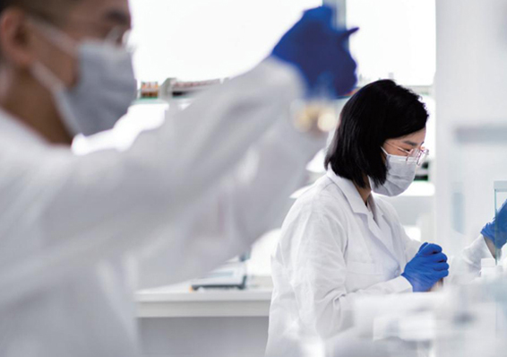 研發(fā)團(tuán)隊(duì)